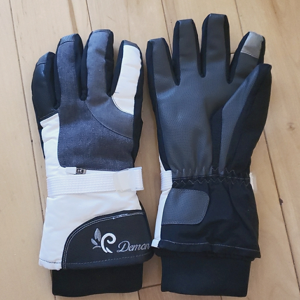 Ski/Snowboard touchscreen compatible gloves